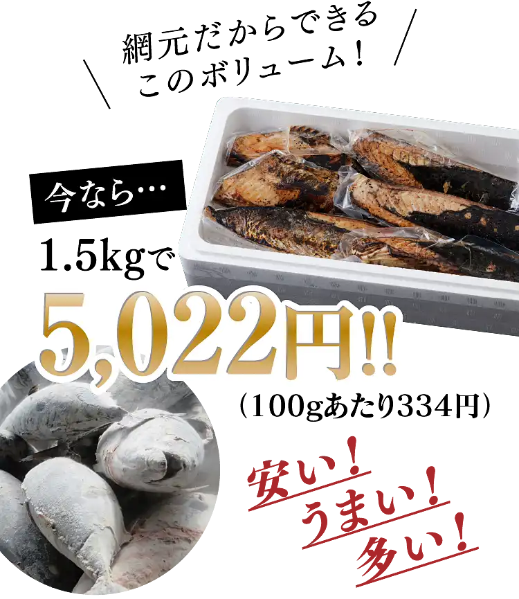 網元だからできるこのボリューム! 今なら1.5kgで5,022円!!(100gあたり334円)安い!うまい!多い!